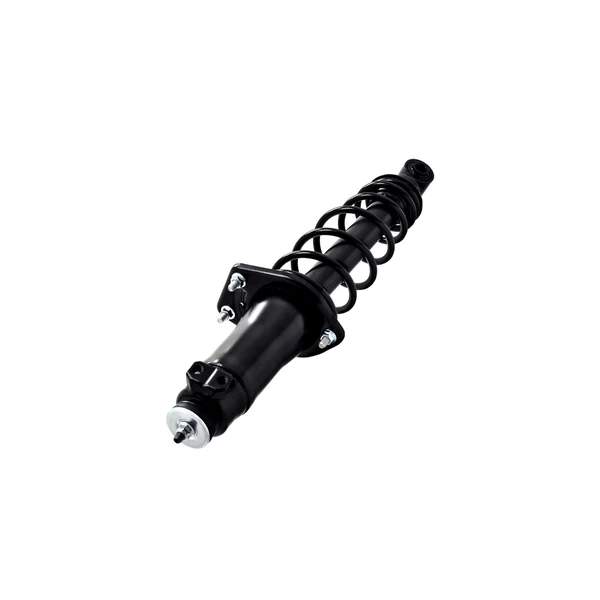 FCS Auto 1345971R Suspension Strut and Coil Spring Assembly, Rear Right Passenger Side