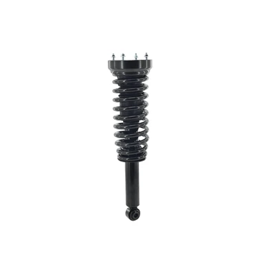 FCS Auto 1345936 Suspension Strut and Coil Spring Assembly, Rear Side