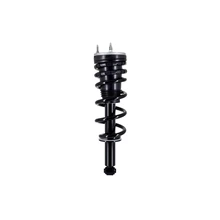 FCS Auto 1355045 Suspension Strut and Coil Spring Assembly, Rear Side