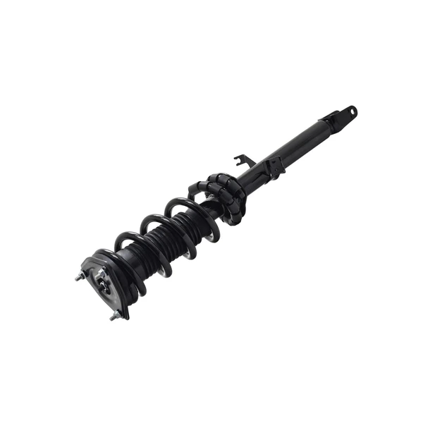 FCS Auto 1355050L Suspension Strut and Coil Spring Assembly, Front Left Driver Side