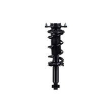 FCS Auto 1355059 Suspension Strut and Coil Spring Assembly, Rear Side