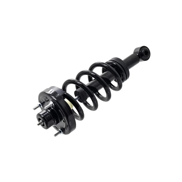 FCS Auto 1355062 Suspension Strut and Coil Spring Assembly, Rear Side