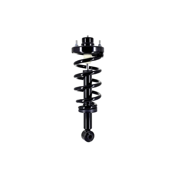 FCS Auto 1355062 Suspension Strut and Coil Spring Assembly, Rear Side