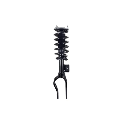 FCS Auto 1355075L Suspension Strut and Coil Spring Assembly, Front Left Driver Side