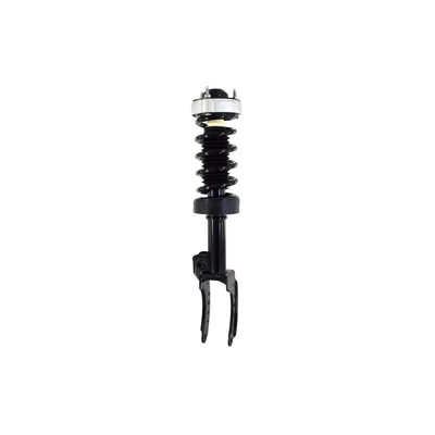 FCS Auto 1355038L Suspension Strut and Coil Spring Assembly, Front Left Driver Side