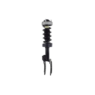 FCS Auto 1355039L Suspension Strut and Coil Spring Assembly, Front Left Driver Side