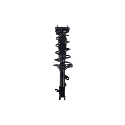 FCS Auto 1331060L Suspension Strut and Coil Spring Assembly, Rear Left Driver Side