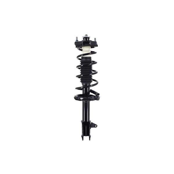 FCS Auto 1331008L Suspension Strut and Coil Spring Assembly, Rear Left Driver Side