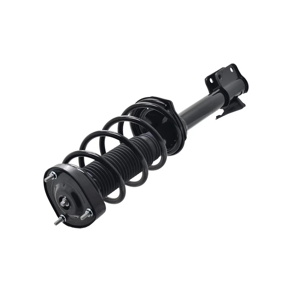 FCS Auto 1331583L Suspension Strut and Coil Spring Assembly, Rear Left Driver Side