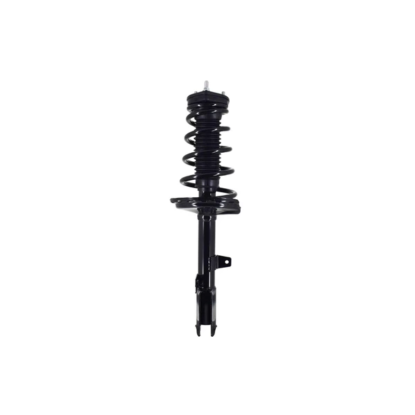 FCS Auto 1331613L Suspension Strut and Coil Spring Assembly, Rear Left Driver Side