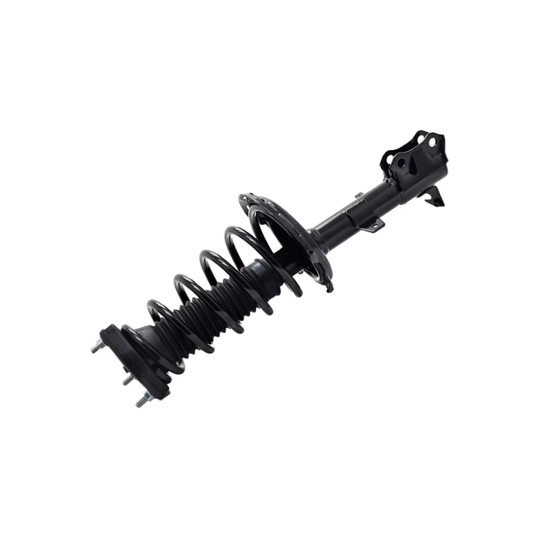 FCS Auto 1331612R Suspension Strut and Coil Spring Assembly, Rear Right Passenger Side
