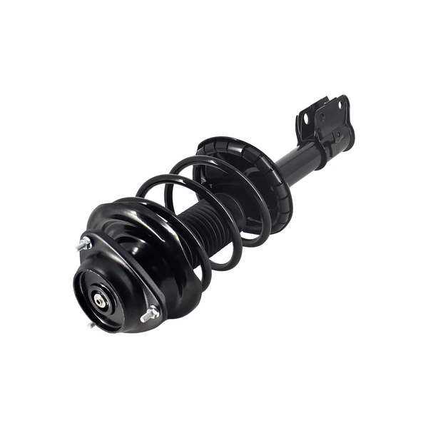 FCS Auto 1331745L Suspension Strut and Coil Spring Assembly, Front Left Driver Side