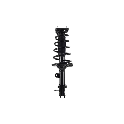 FCS Auto 1331901L Suspension Strut and Coil Spring Assembly, Rear Left Driver Side