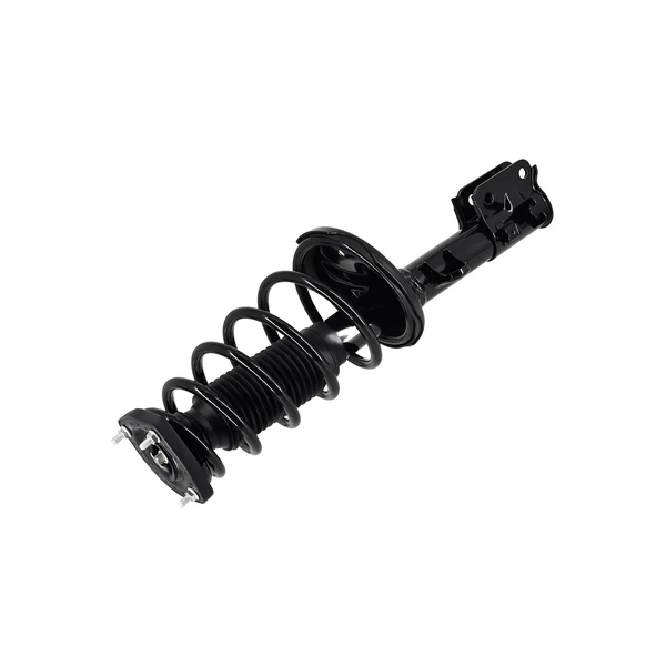 FCS Auto 1331901L Suspension Strut and Coil Spring Assembly, Rear Left Driver Side