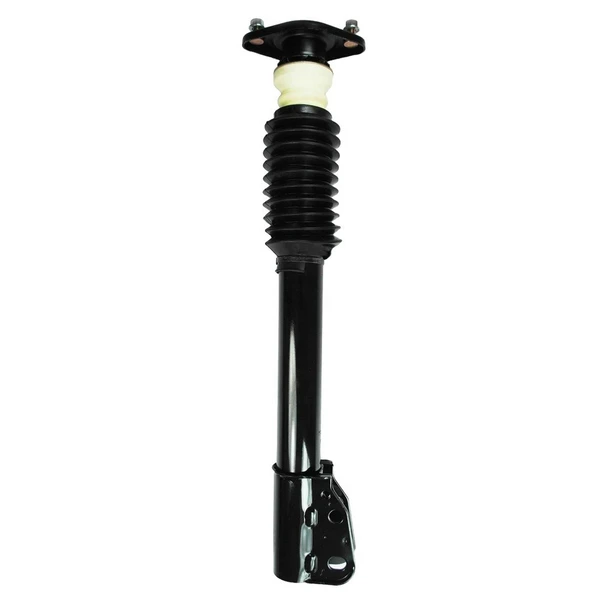 FCS Auto 1332310 Suspension Strut and Coil Spring Assembly, Rear Side