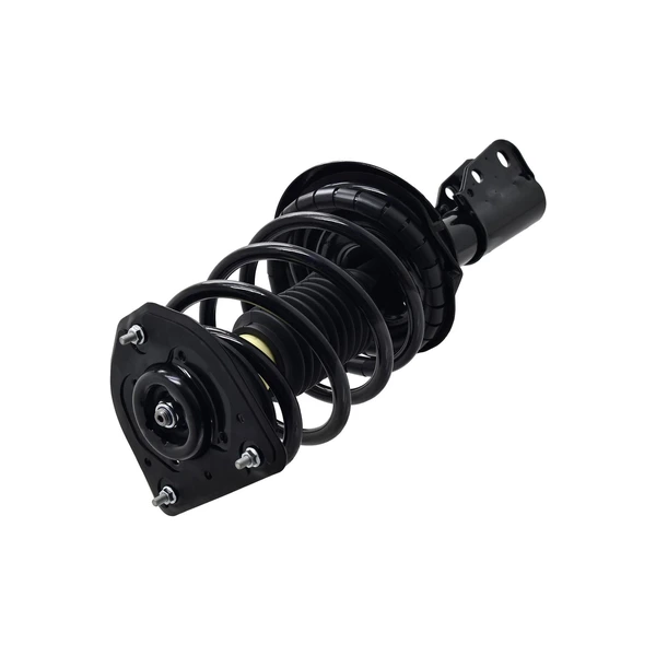 FCS Auto 1332312 Suspension Strut and Coil Spring Assembly, Front Side