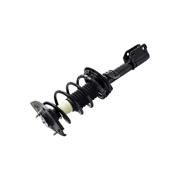 FCS Auto 1332326L Suspension Strut and Coil Spring Assembly, Rear Left Driver Side