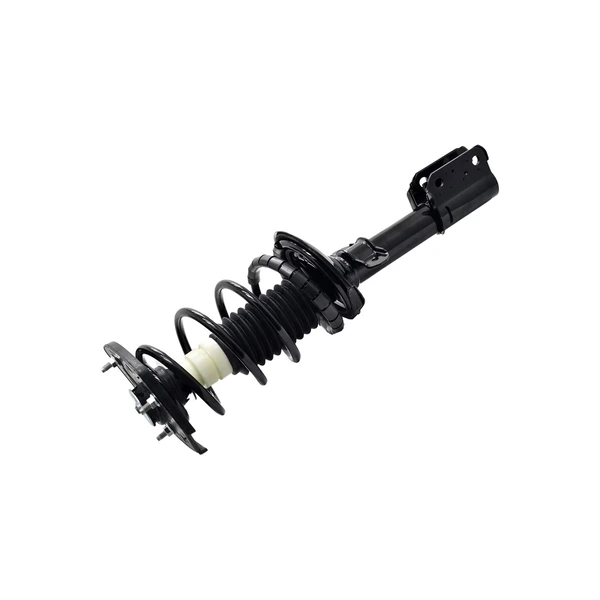 FCS Auto 1332326R Suspension Strut and Coil Spring Assembly, Rear Right Passenger Side