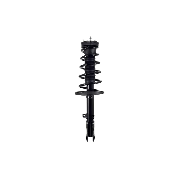 FCS Auto 1333562R Suspension Strut and Coil Spring Assembly, Rear Right Passenger Side