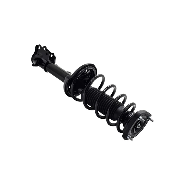 FCS Auto 1333582R Suspension Strut and Coil Spring Assembly, Rear Right Passenger Side