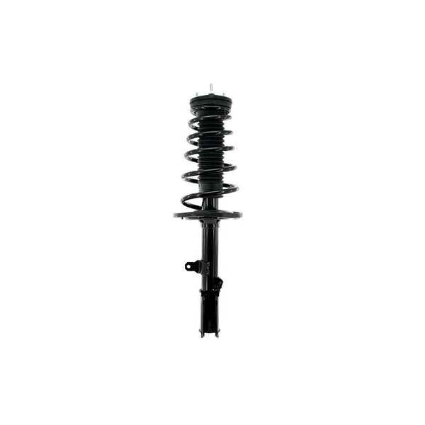 FCS Auto 1333717R Suspension Strut and Coil Spring Assembly, Rear Right Passenger Side