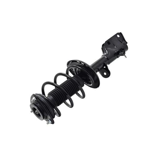 FCS Auto 1334054R Suspension Strut and Coil Spring Assembly, Front Right Passenger Side