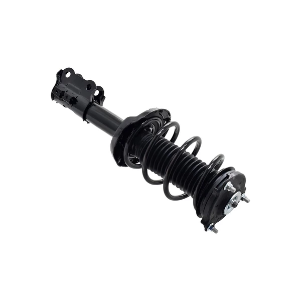 FCS Auto 1334069L Suspension Strut and Coil Spring Assembly, Front Left Driver Side