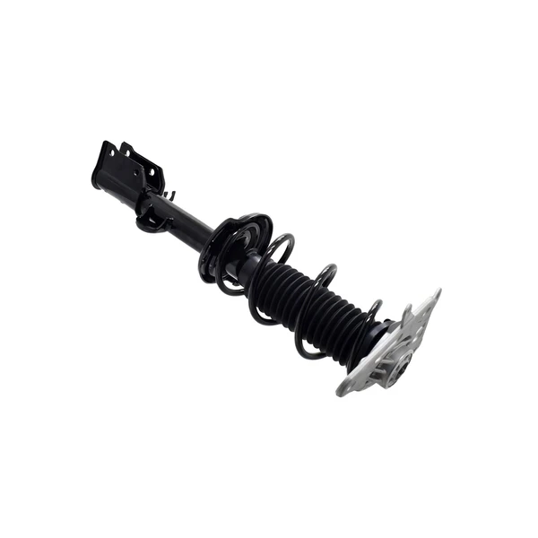 FCS Auto 1334079L Suspension Strut and Coil Spring Assembly, Rear Left Driver Side