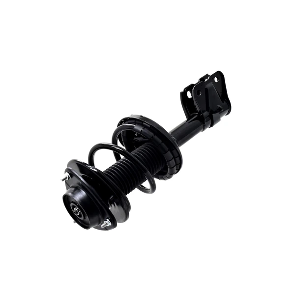 FCS Auto 1334090L Suspension Strut and Coil Spring Assembly, Front Left Driver Side