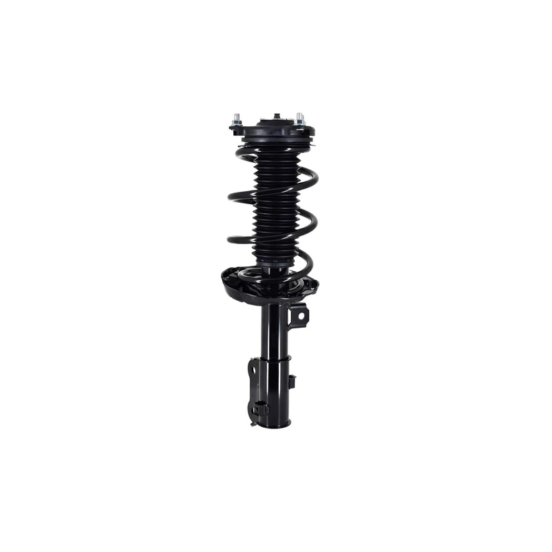 Loaded strut and coil spring detail
