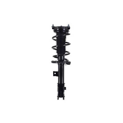 FCS Auto 1334221L Suspension Strut and Coil Spring Assembly, Front Left Driver Side