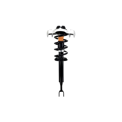 FCS Auto 1335655 Suspension Strut and Coil Spring Assembly, Front Side