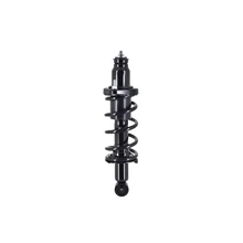 FCS Auto 1336340L Suspension Strut and Coil Spring Assembly, Rear Left Driver Side