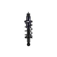 FCS Auto 1336340R Suspension Strut and Coil Spring Assembly, Rear Right Passenger Side