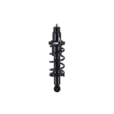 FCS Auto 1336340R Suspension Strut and Coil Spring Assembly, Rear Right Passenger Side