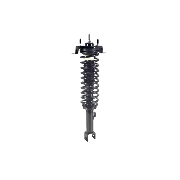 FCS Auto 1336342 Suspension Strut and Coil Spring Assembly, Rear Side