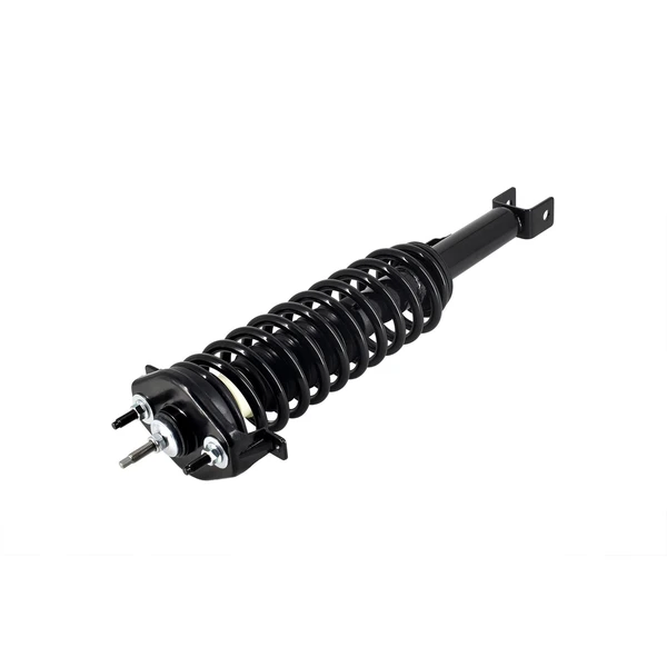 FCS Auto 1336342 Suspension Strut and Coil Spring Assembly, Rear Side