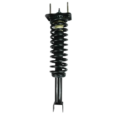 FCS Auto 1336345 Suspension Strut and Coil Spring Assembly, Rear Side