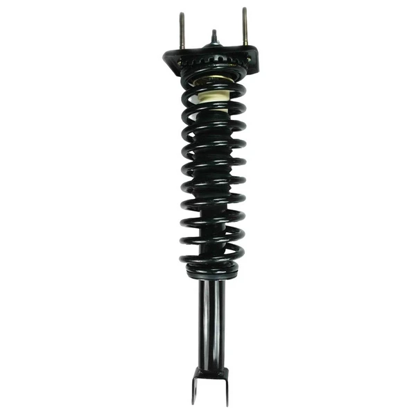 FCS Auto 1336345 Suspension Strut and Coil Spring Assembly, Rear Side