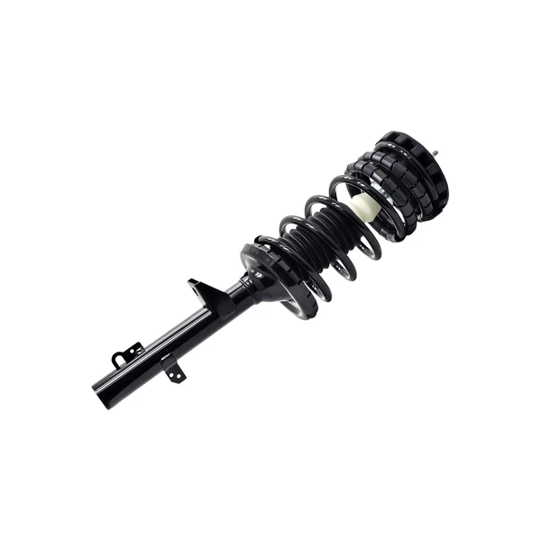 FCS Auto 1336303 Suspension Strut and Coil Spring Assembly, Rear Side