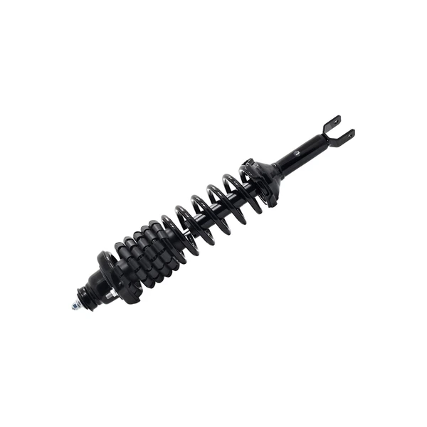 FCS Auto 1336317L Suspension Strut and Coil Spring Assembly, Rear Left Driver Side