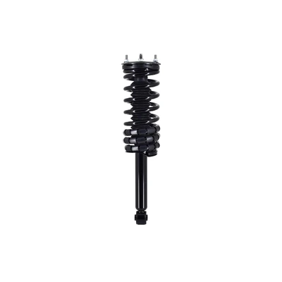 FCS Auto 1336316 Suspension Strut and Coil Spring Assembly, Rear Side