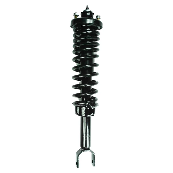 FCS Auto 1336318 Suspension Strut and Coil Spring Assembly, Rear Side