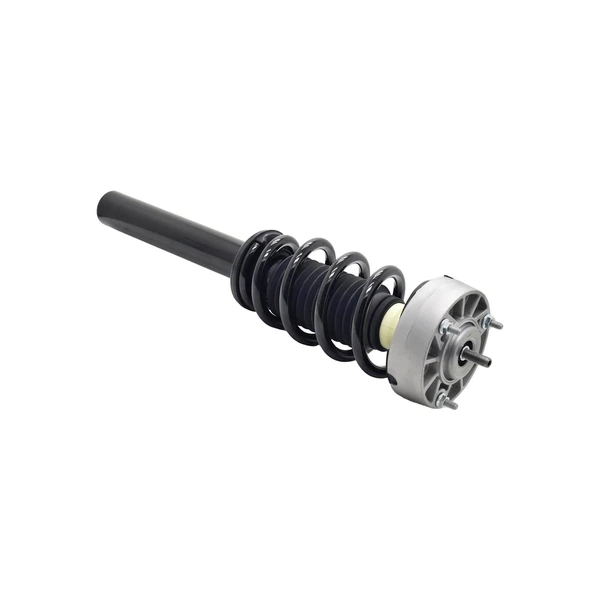 FCS Auto 1337073 Suspension Strut and Coil Spring Assembly, Front Side