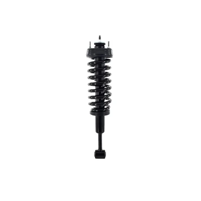 FCS Auto 2345559 Suspension Strut and Coil Spring Assembly, Front Side