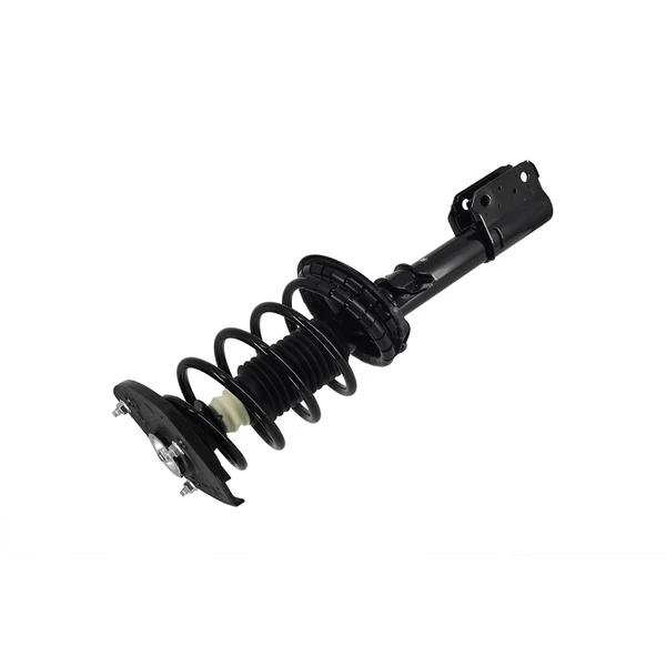 FCS Auto 2332304R Suspension Strut and Coil Spring Assembly, Rear Right Passenger Side