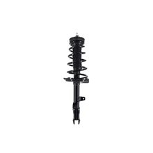 FCS Auto 2333378L Suspension Strut and Coil Spring Assembly, Rear Left Driver Side