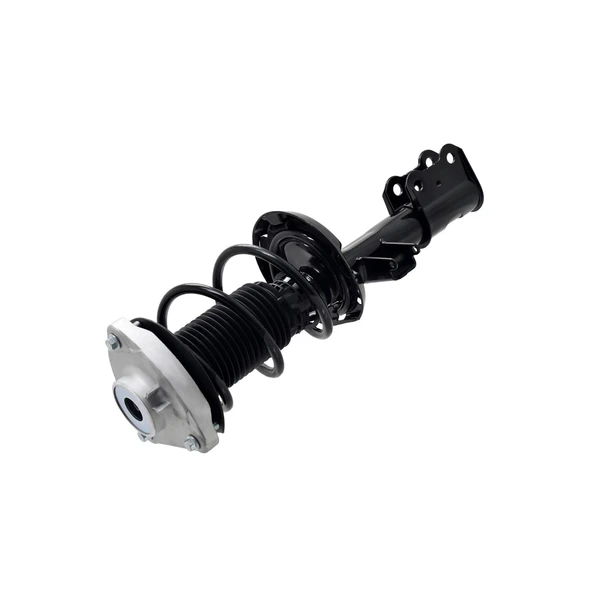 FCS Auto 2333461L Suspension Strut and Coil Spring Assembly, Front Left Driver Side