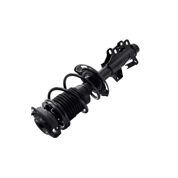 FCS Auto 2333842L Suspension Strut and Coil Spring Assembly, Front Left Driver Side