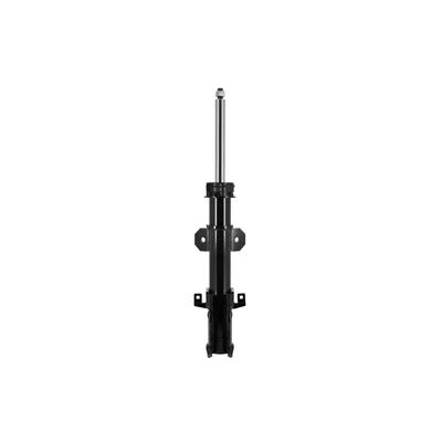 FCS Auto 334078 Suspension Strut, Front Side